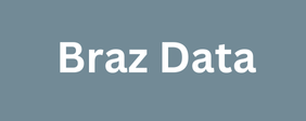 Braz Data